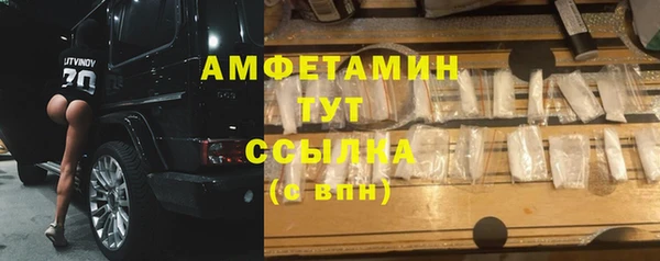 дурь Бородино