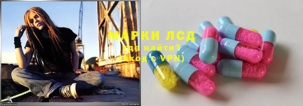 дурь Бородино