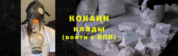 дурь Бородино