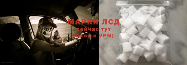 дурь Бородино