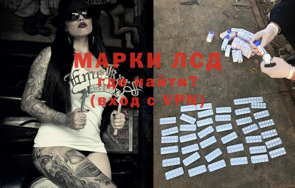 дурь Бородино