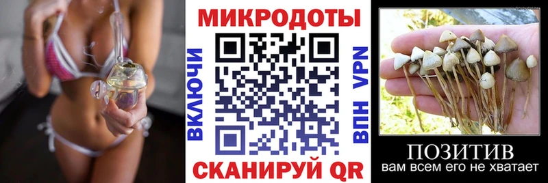 Псилоцибиновые грибы Cubensis  где купить наркоту  сайты даркнета официальный сайт  Нижнекамск  KRAKEN ТОР 